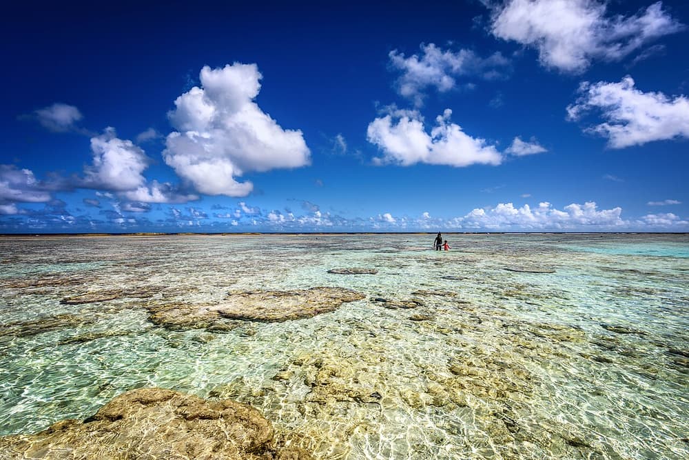 Ritidian Point at Guam (29610014224)