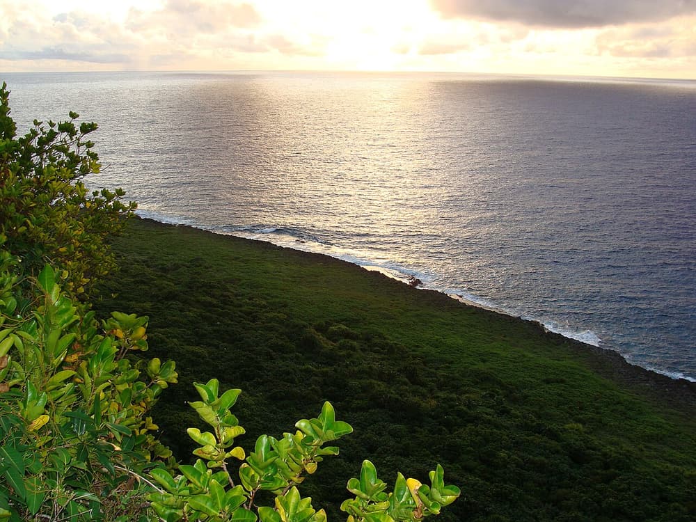I Chenchon Bird Sanctuary, Rota