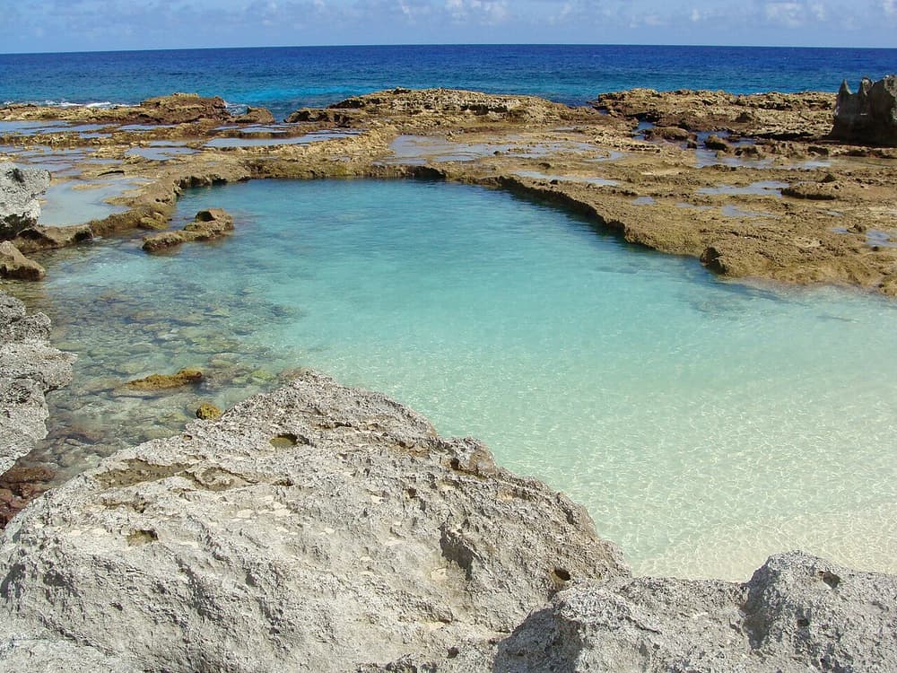 The Swimming Hole, Rota