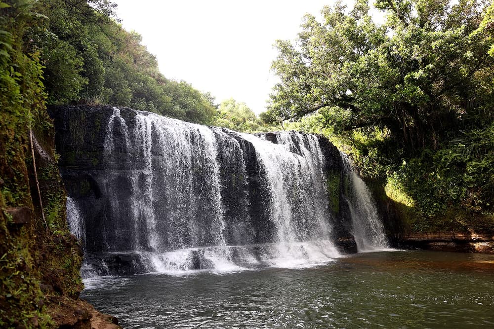 Talofofo Falls 2025